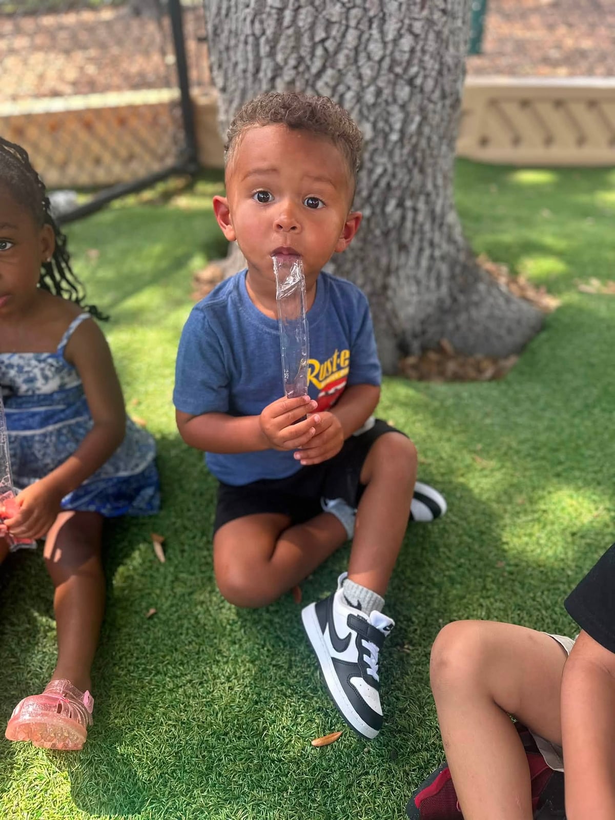 Happy National Freezer Pop Day!