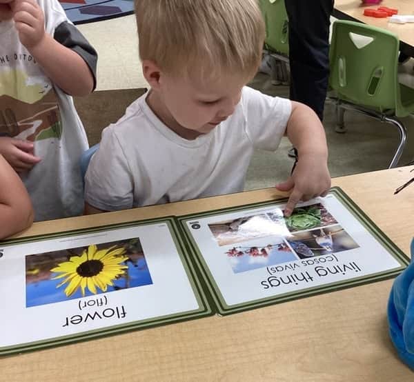 child care in Mckinny Texas
