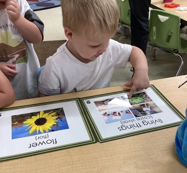 child care in Mckinny Texas