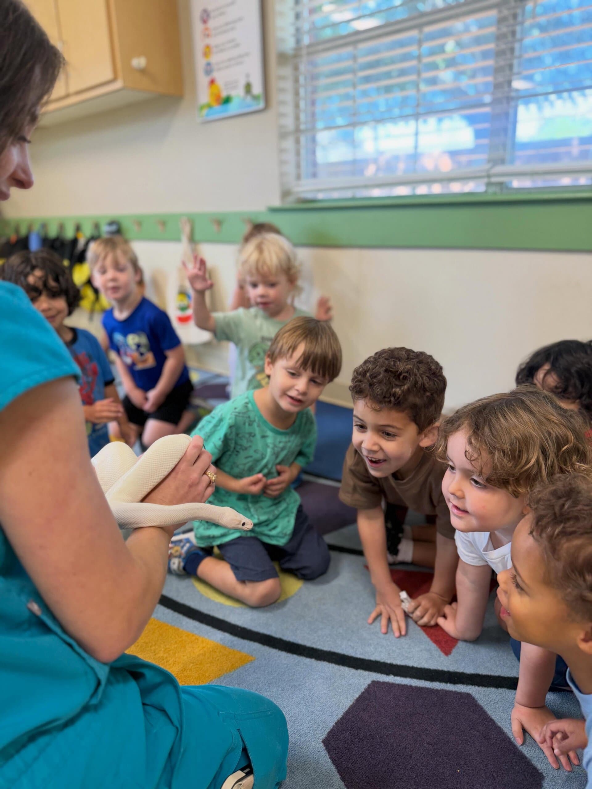 4 year old care far north dallas