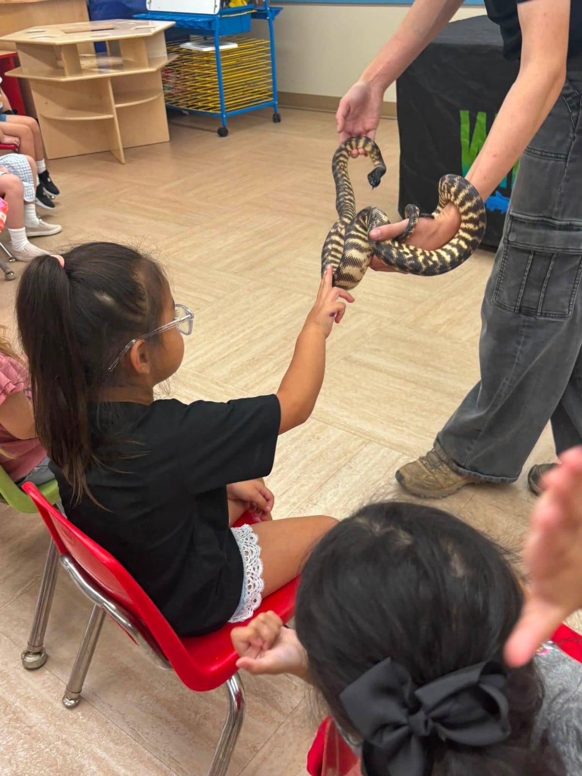 Child touching snake in preschool