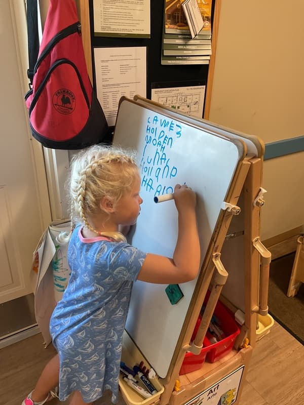 Holland writing