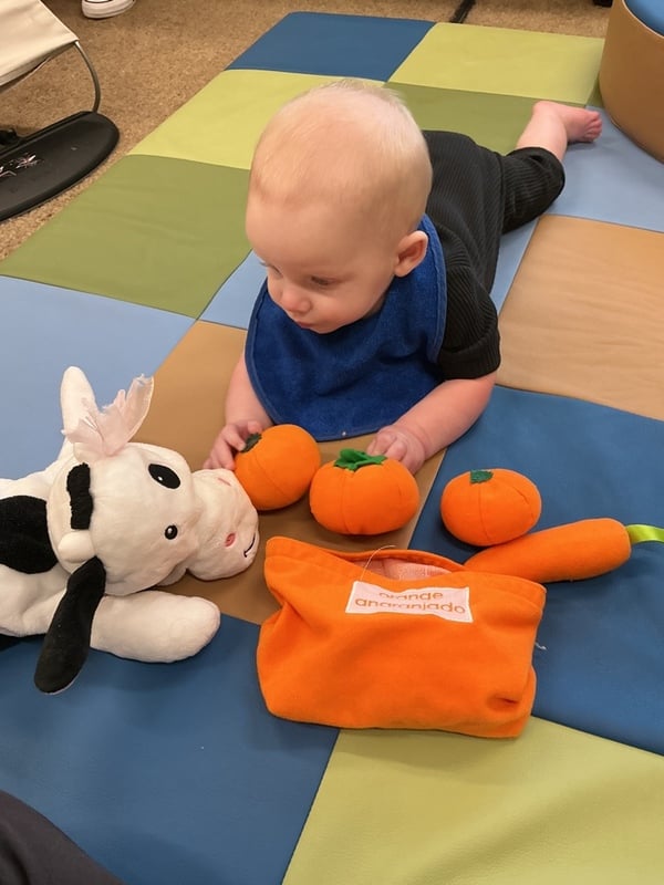 infant program, learn through play