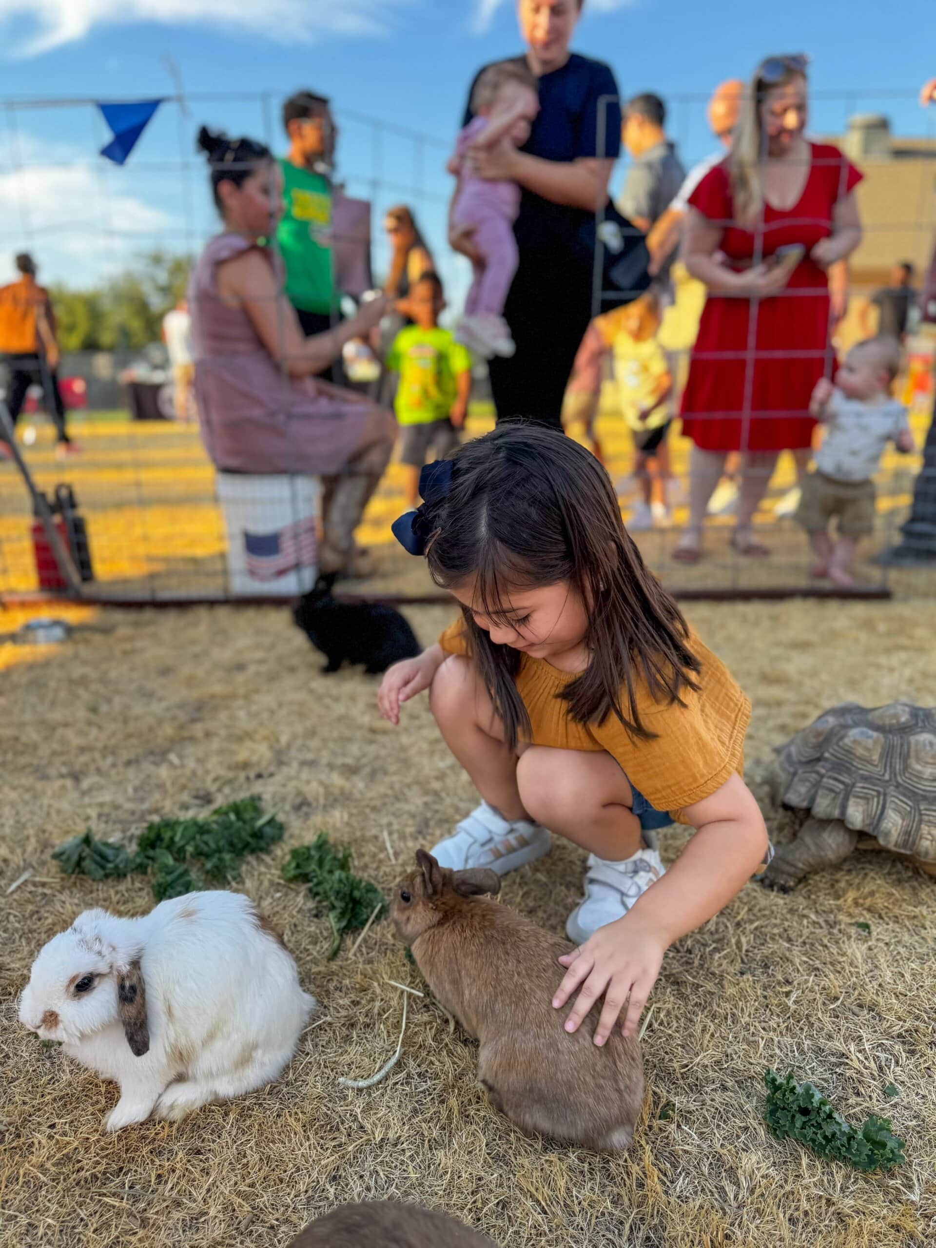 Fall Festival