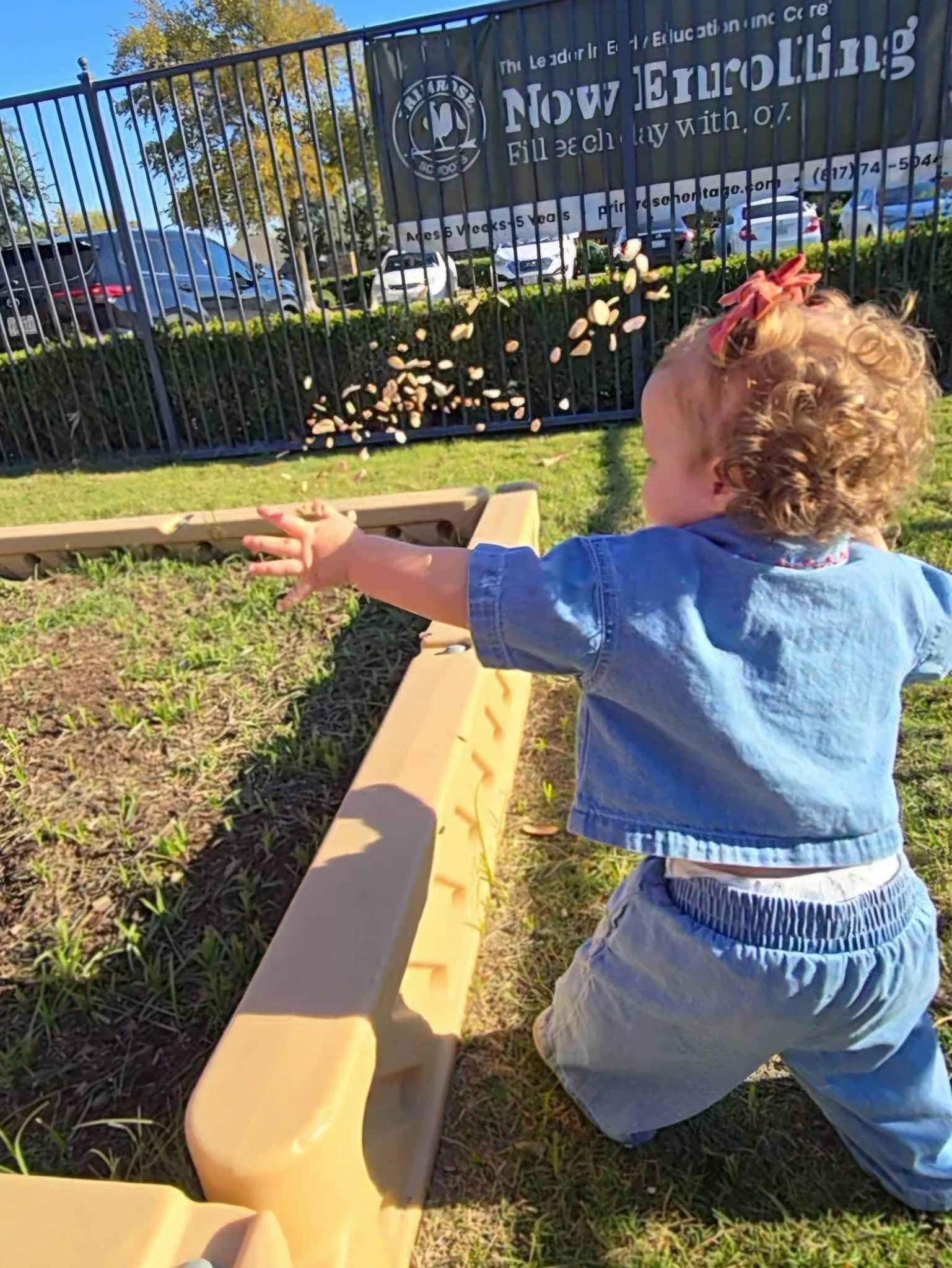 Young student scattering magical seeds in the Primrose Patch during a special Pumpkin Fairy fall activity at Primrose School at Heritage in Keller, TX, enjoying imaginative outdoor learning at our preschool and daycare.