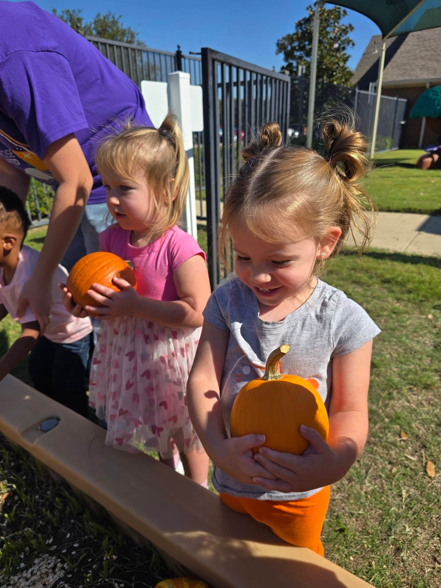 Young student picking a pumpkin from the Primrose Patch at Primrose School at Heritage in Keller, TX, enjoying a fun fall activity at our preschool and daycare for toddlers and young children