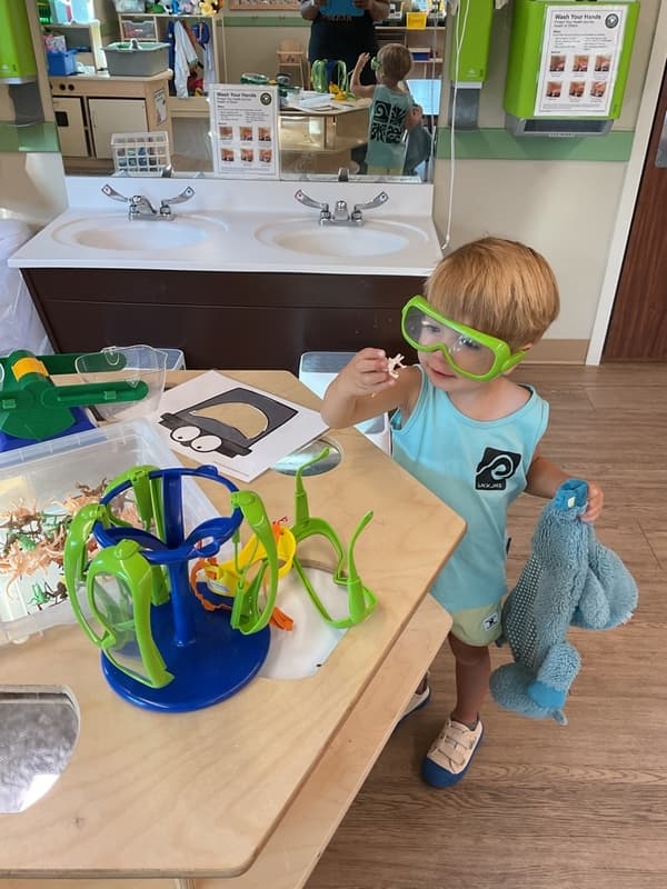 Young Scientist