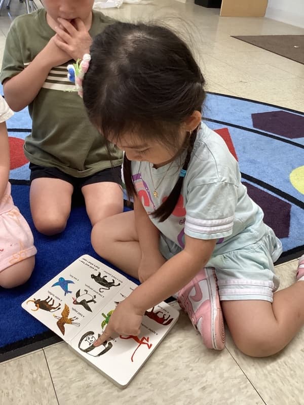 Child pointing to animal pictures in a book during an interactive literacy activity that encourages vocabulary and animal recognition.