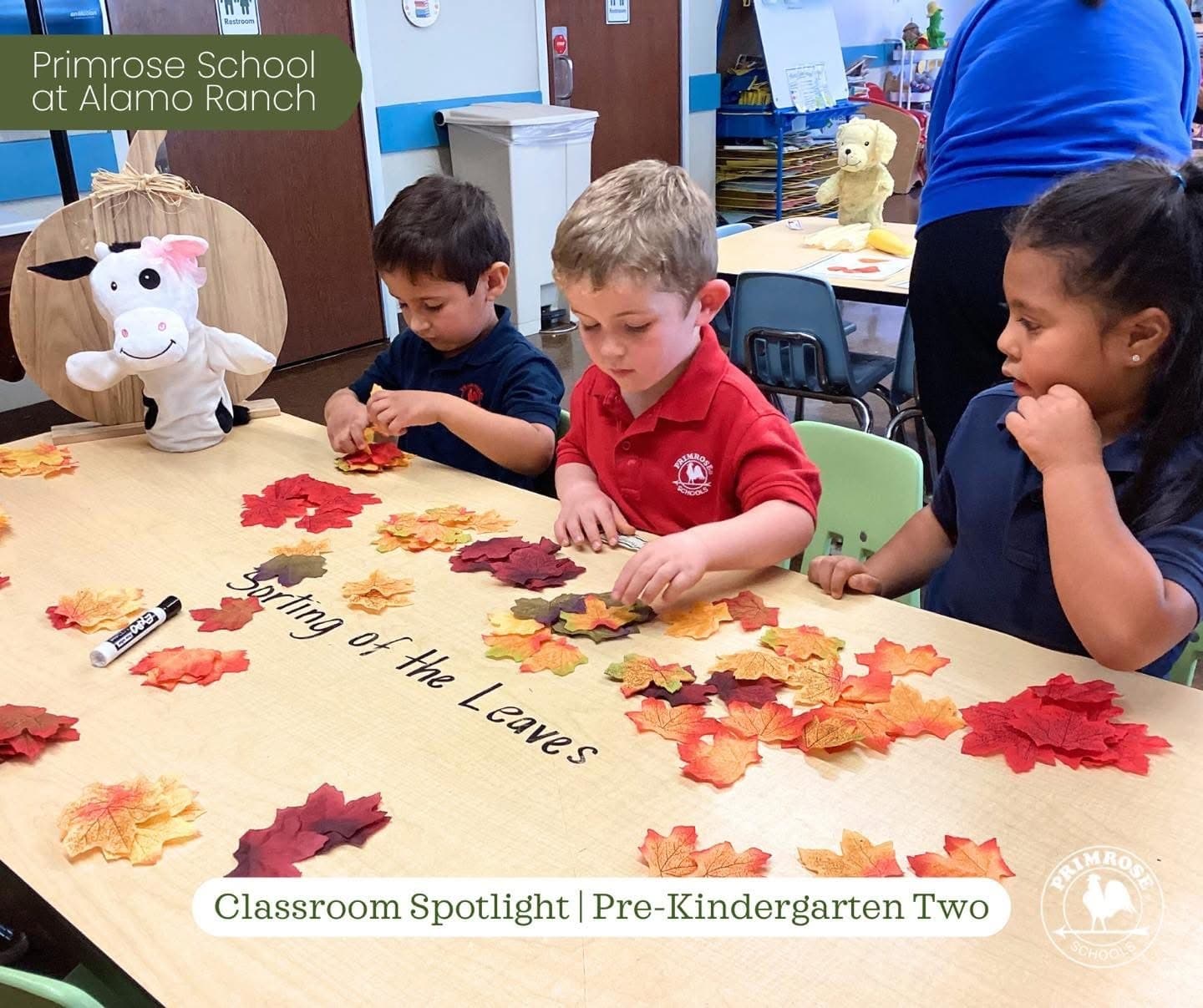 Small Group Math, Proprietary Curriculum