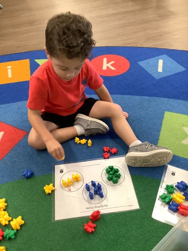 A little boy learning math skills by sorting colored bears into groups.