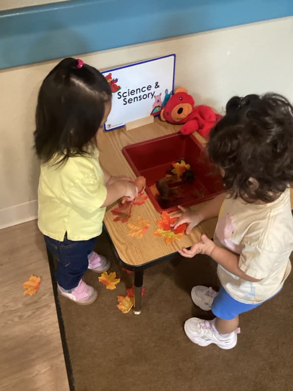 early childhood education Garland TX