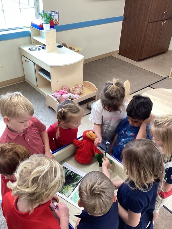 Preschool