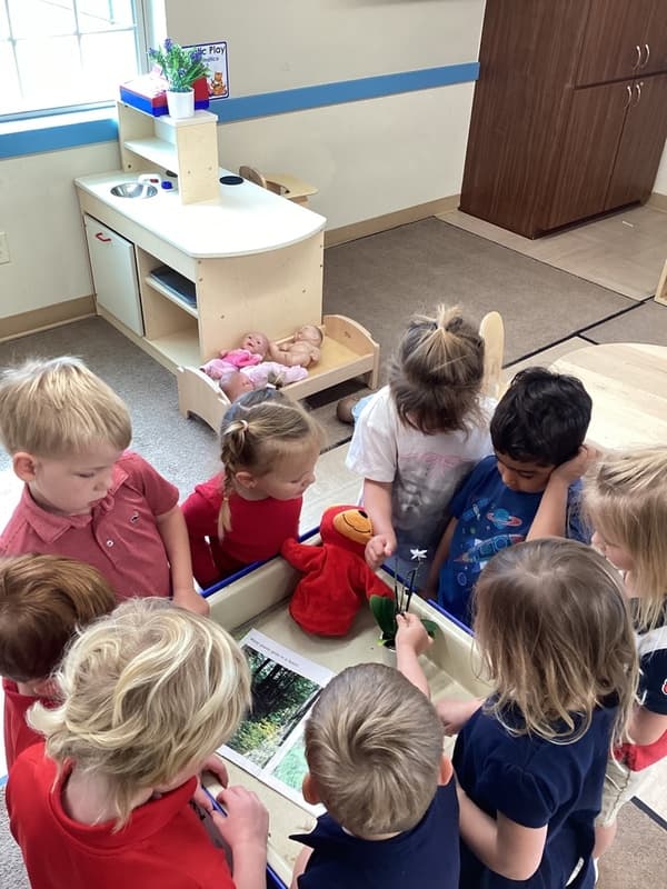 Preschool
