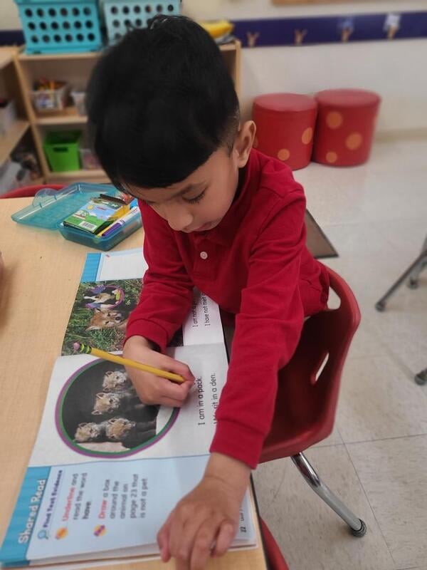 Literacy Workbook