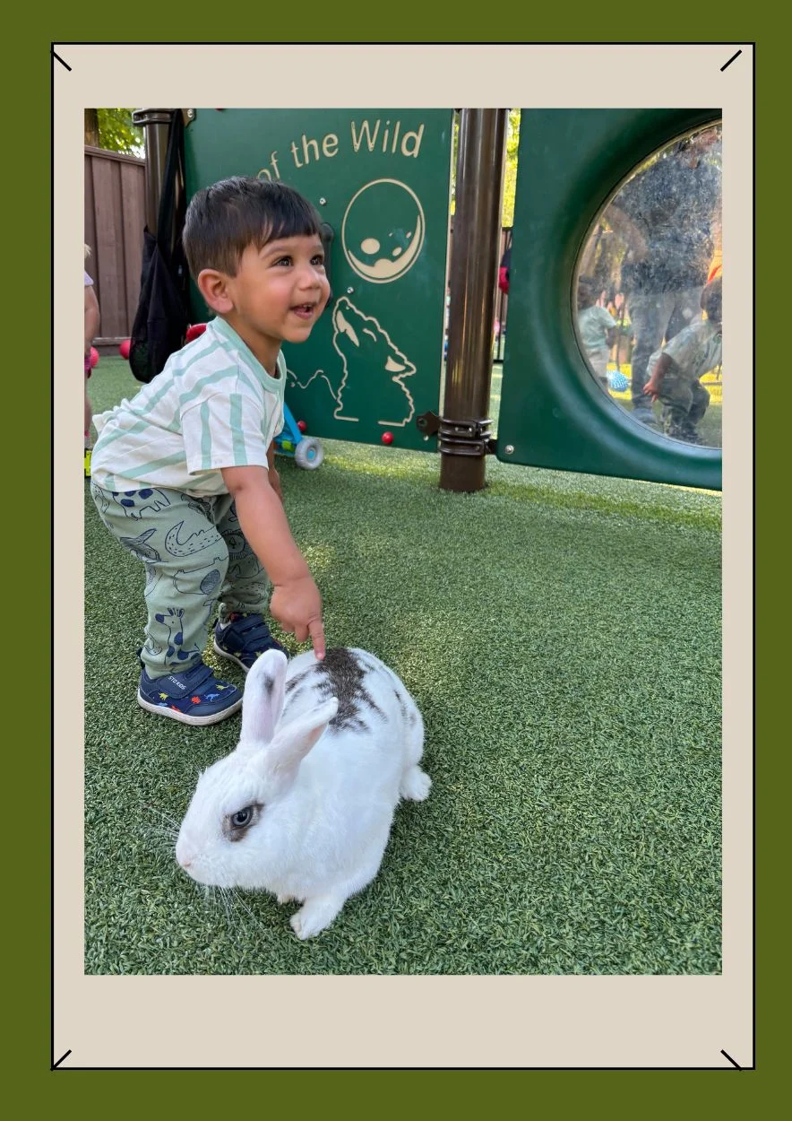 primrose pleasanton - primrose school - daycare - preschool - primrose schools - summer program - summer school - after school day care