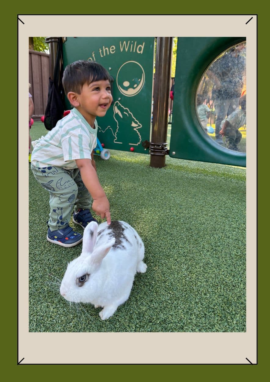 primrose pleasanton - primrose school - daycare - preschool - primrose schools - summer program - summer school - after school day care