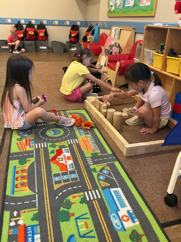Building a Garden together