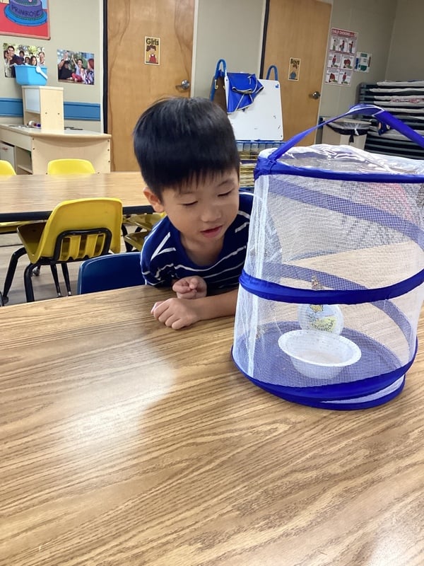 PreK, Lewisville, TX Primrose School of North Lewisville