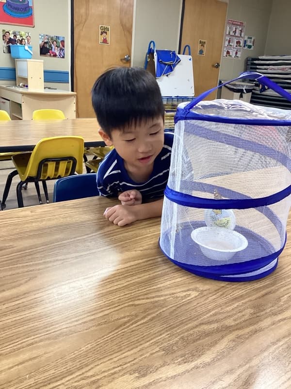 PreK, Lewisville, TX Primrose School of North Lewisville