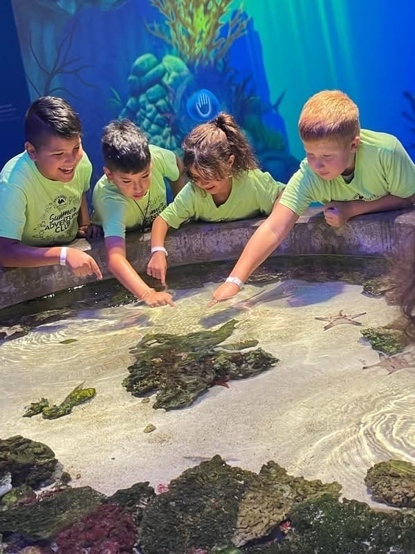 Summer Camp Program Near Me