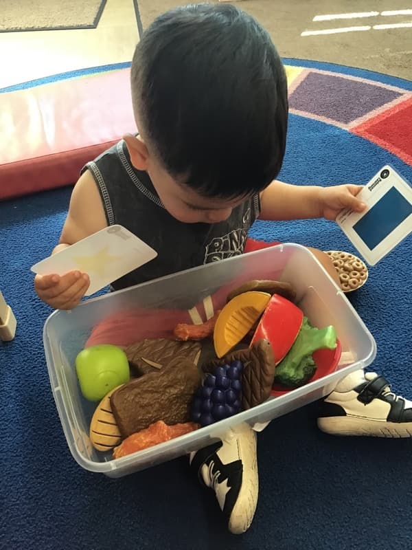Toddler Curriculum