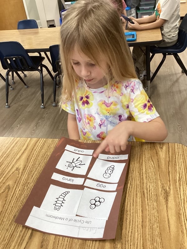 Pre-K, Lewisville, TX Primrose School of North Lewisville