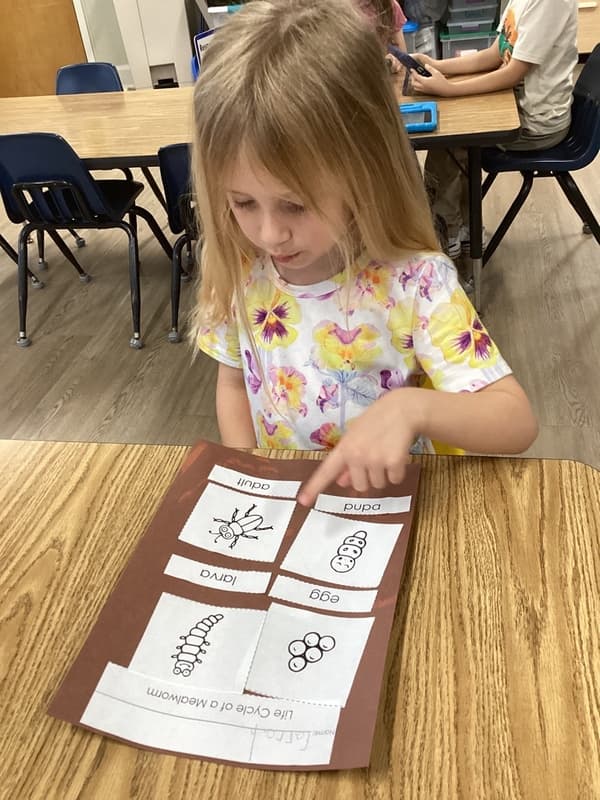 Pre-K, Lewisville, TX Primrose School of North Lewisville