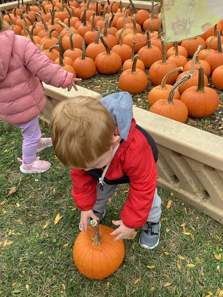 Pumpkin p