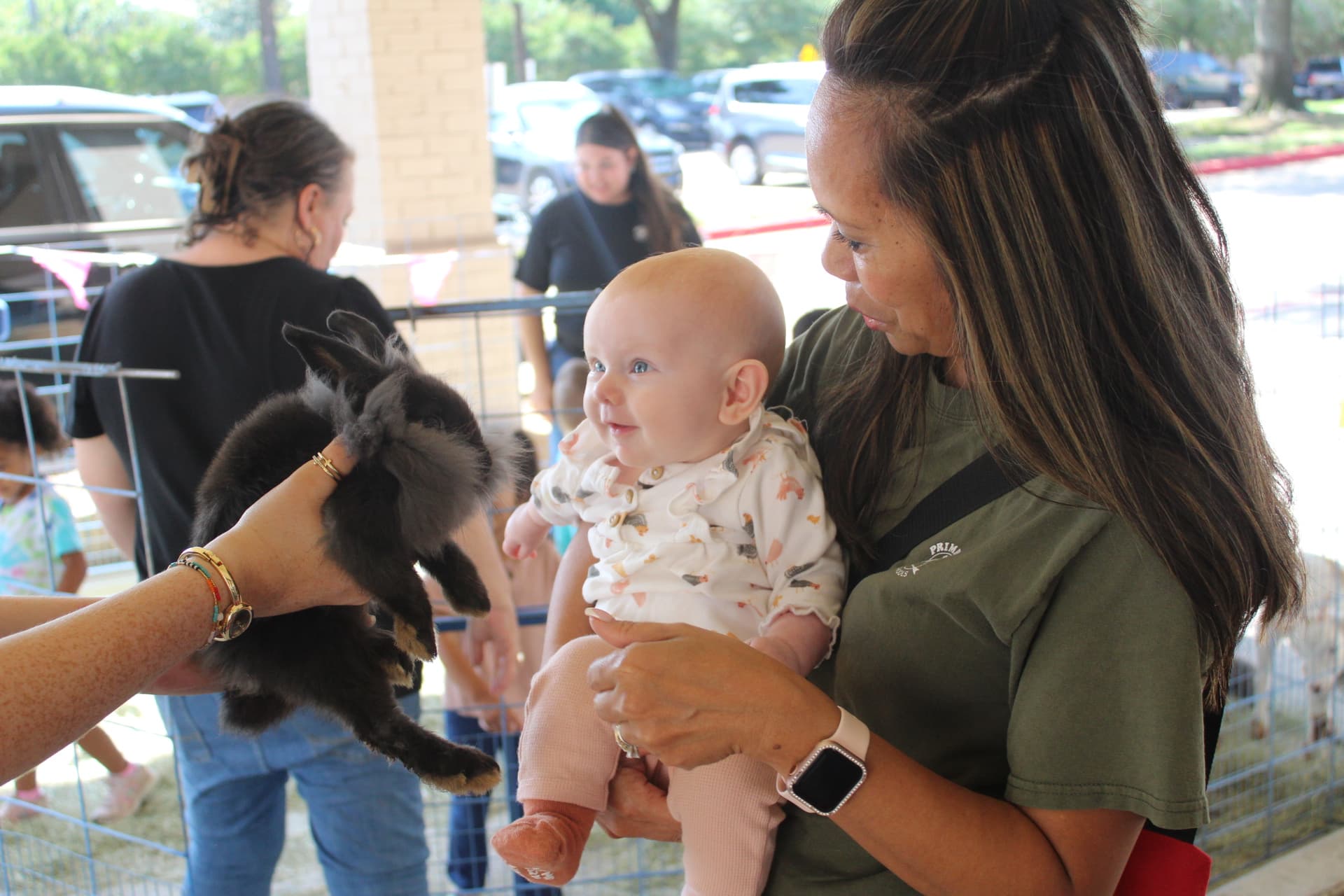 early preschool, petting zoo, daycare, preschools