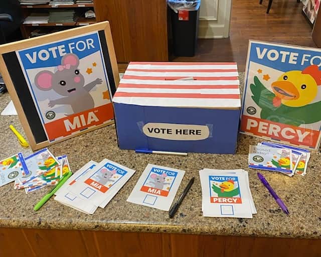 Voting Day