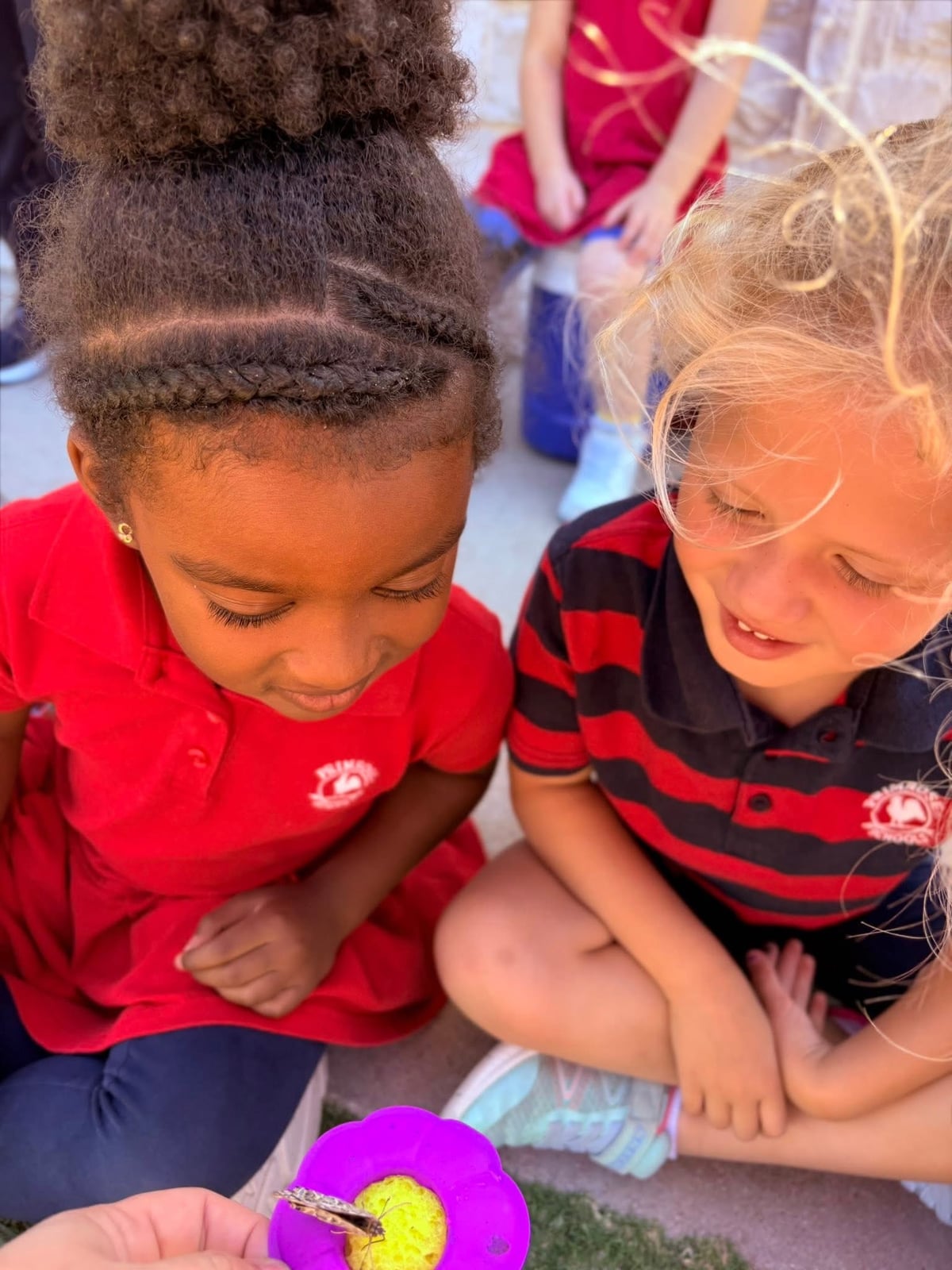 Two students at Primrose School doing a STEM activity and looking at a butterfly