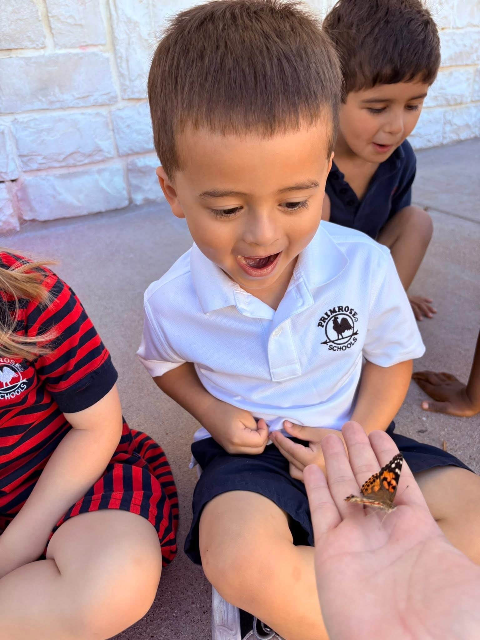 child smiling and looking at a butterfly on a teachers hand