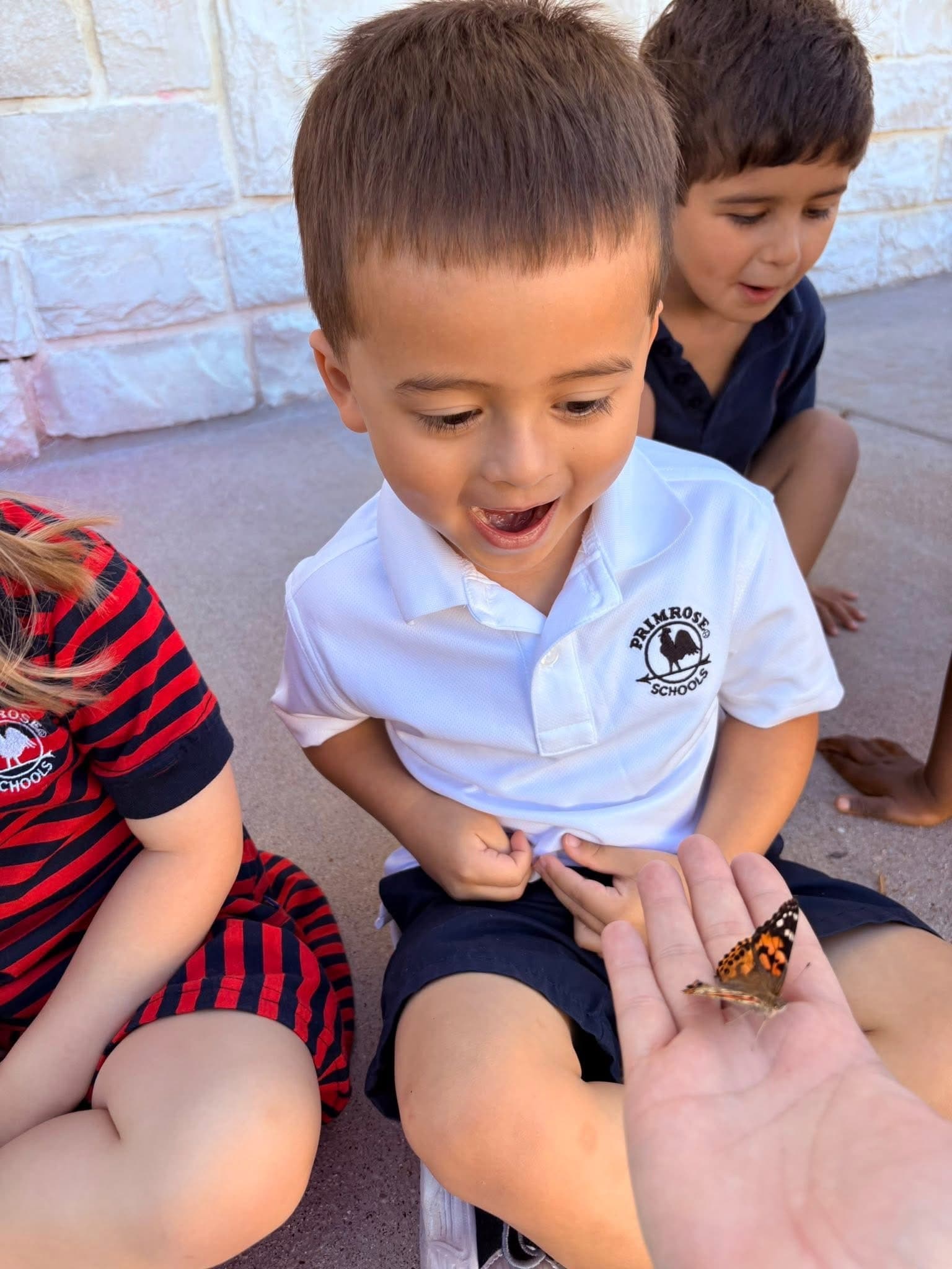 child smiling and looking at a butterfly on a teachers hand