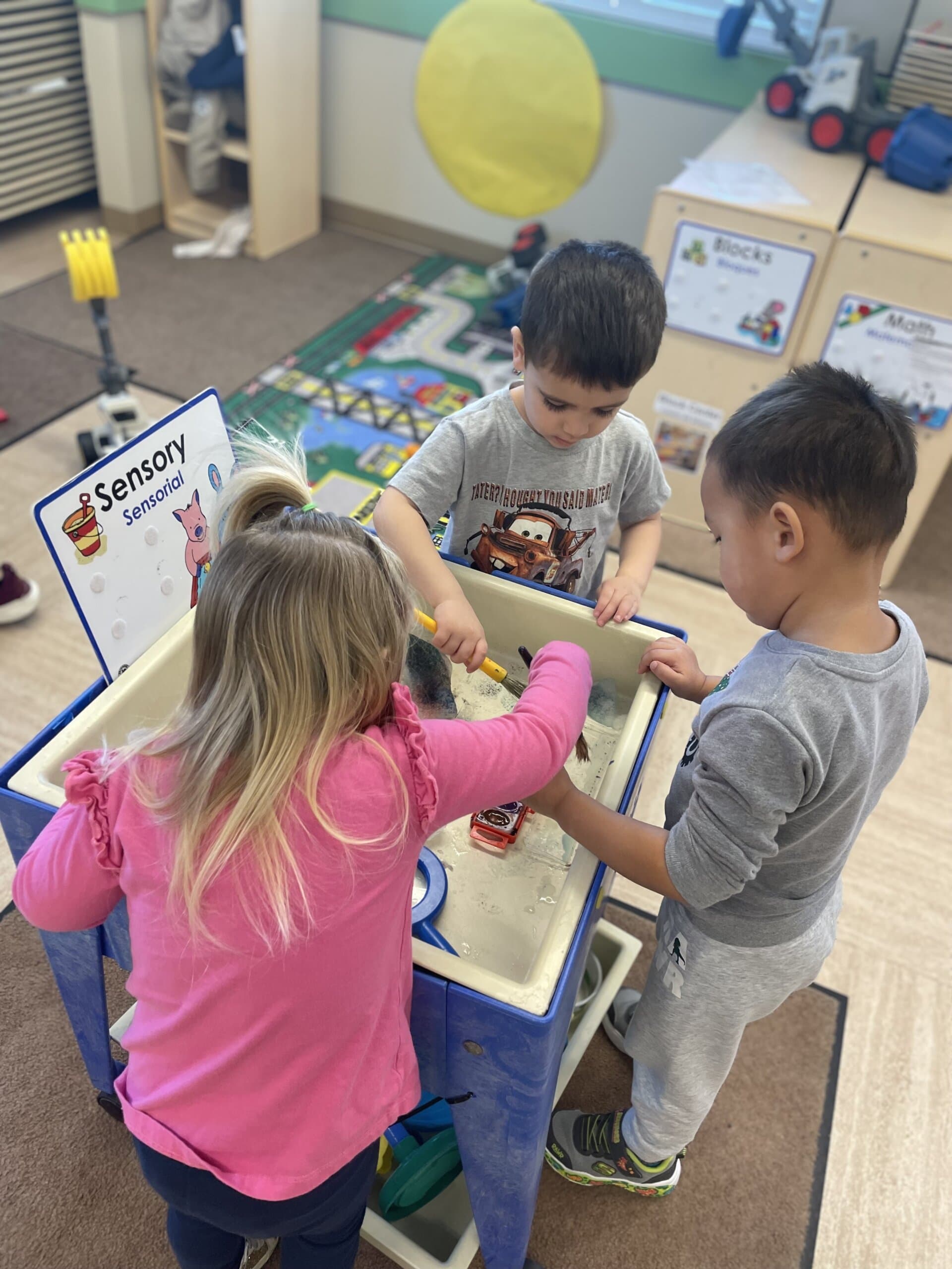 Discovering in sensory center