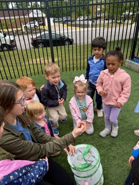 Butterfly Release