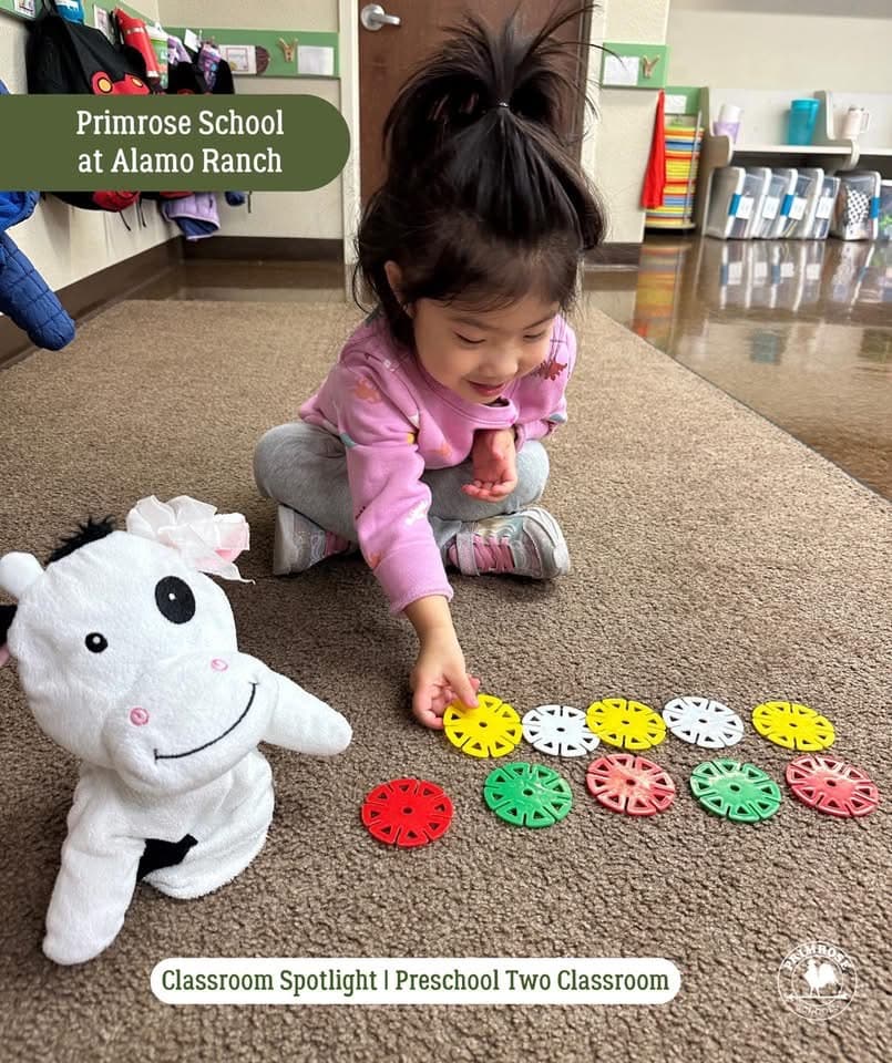Small Group Math, Montessori