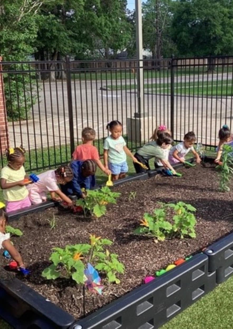 children at the Primrose Patch taking care of our plants and learning about our environment