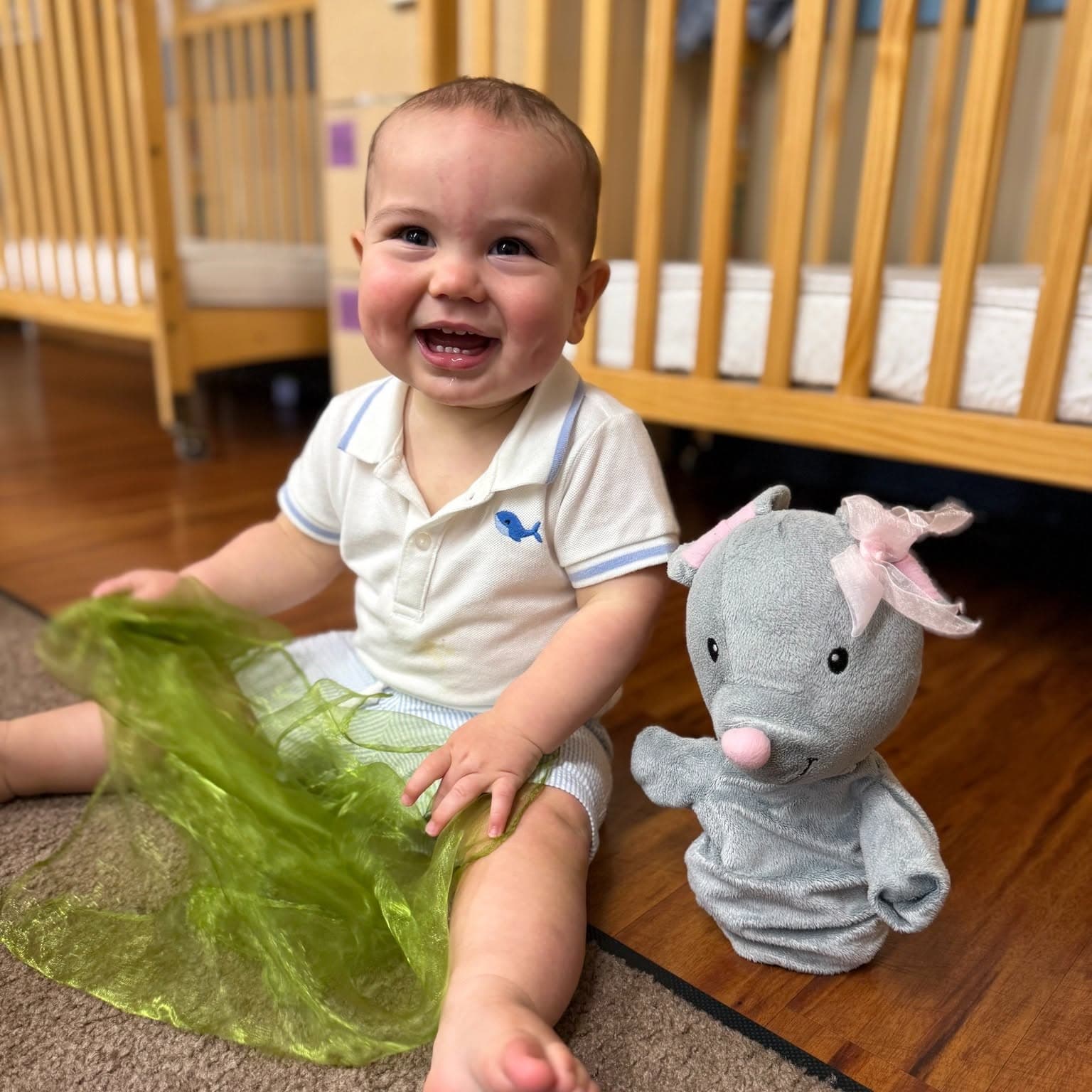Happy infant playing with a stuffed elephant toy in the infant classroom at Primrose School of Chelmsford, MA