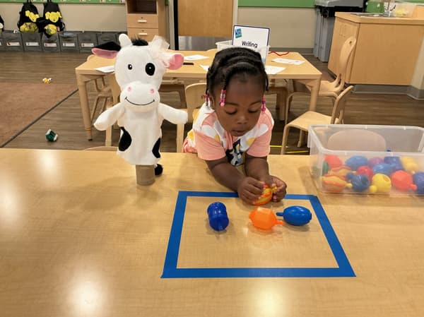 Spatial Awareness and Counting with Molly the Cow