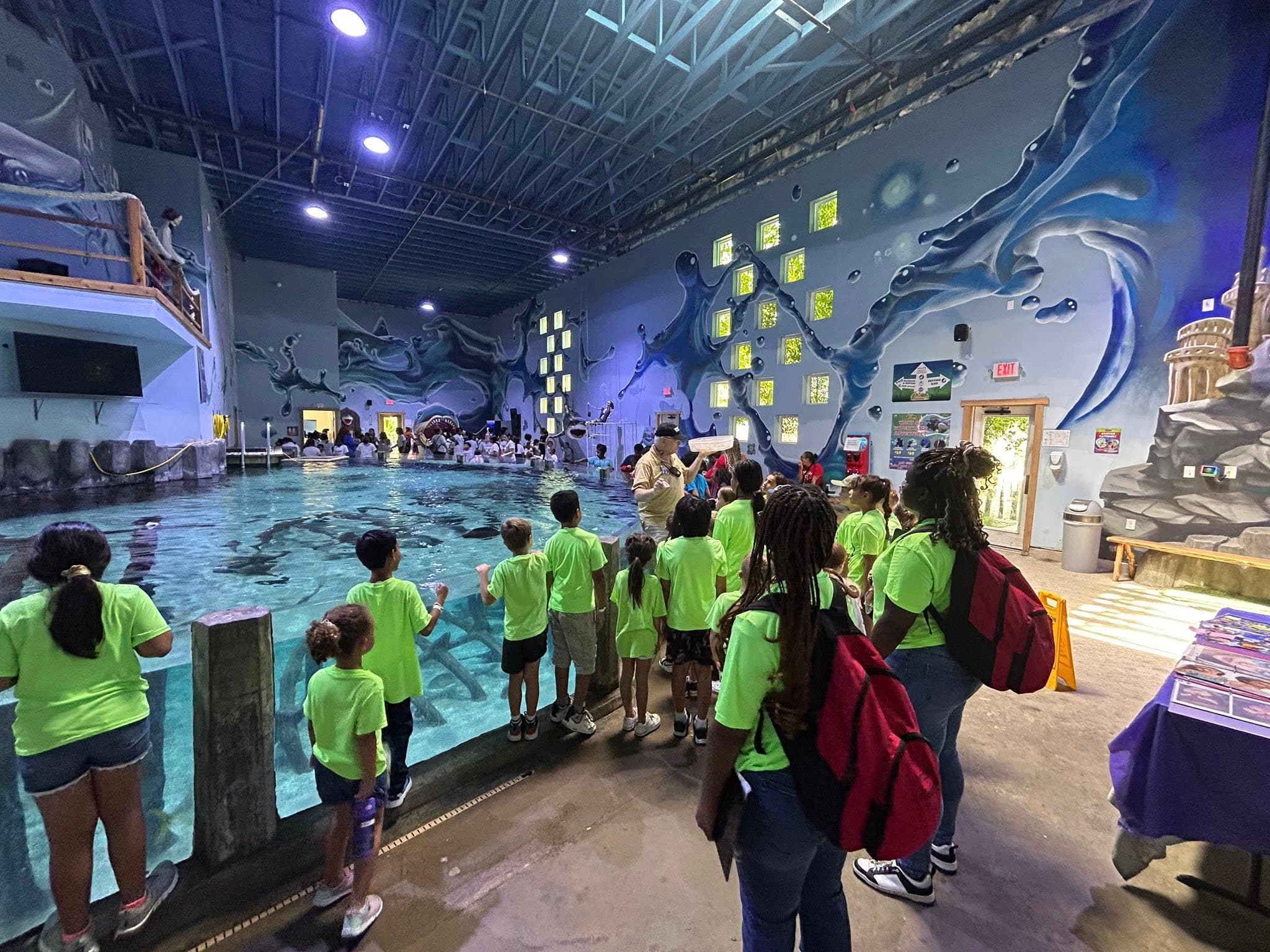 aquarium , summer camp, fun