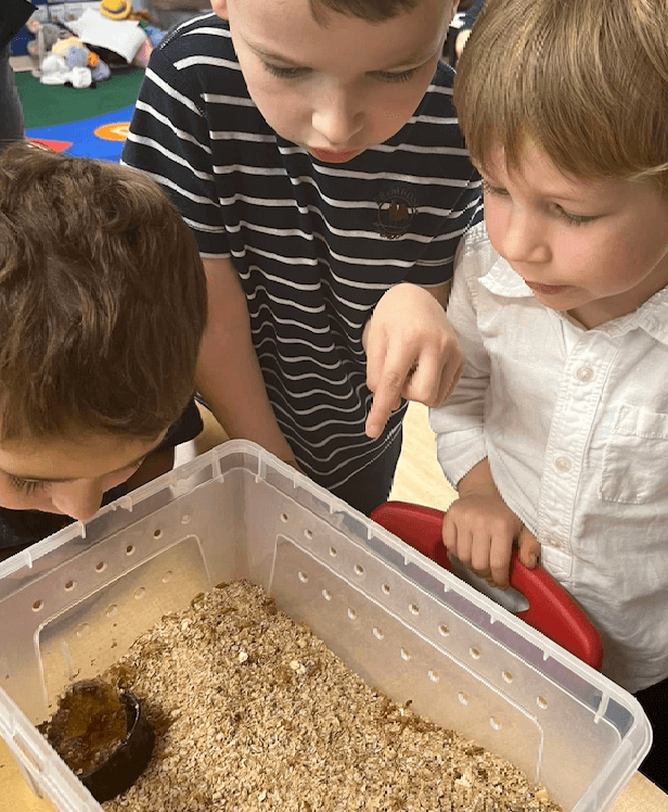 Private Pre-Kindergarten Classroom