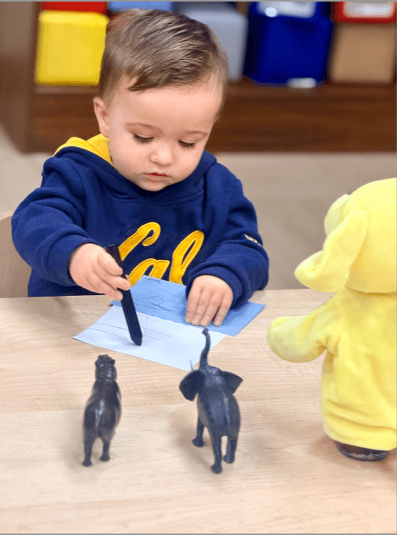 Infant Daycare, Infant Preschool, Best Infant Daycare in San Jose, Best preschool in San Jose