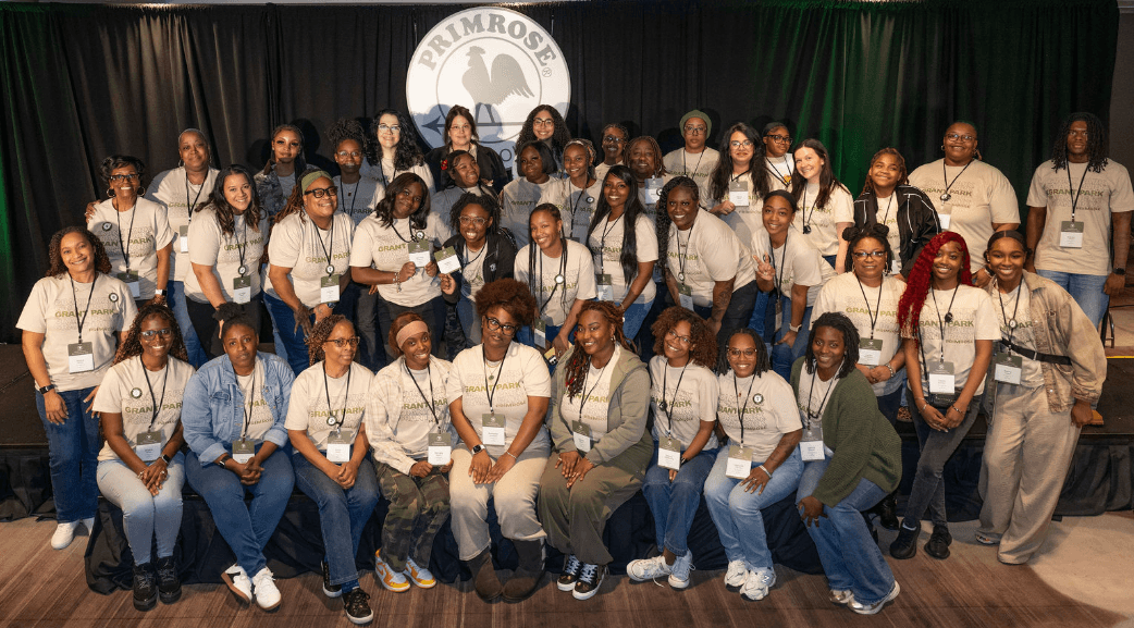 GA professional development day