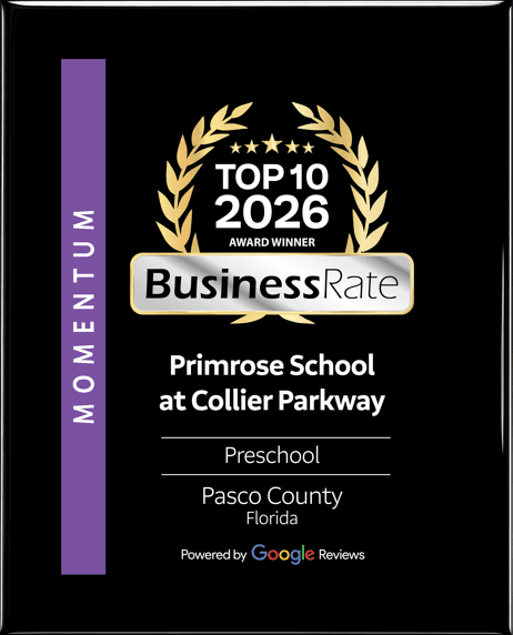 Top 10 Best Preschools in Pasco County featuring Primrose School, early childhood education, daycare, VPK, preschool programs, and childcare services in Pasco County, Florida.