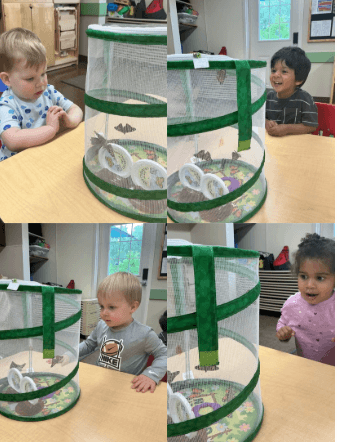 toddlers looking at butterflies