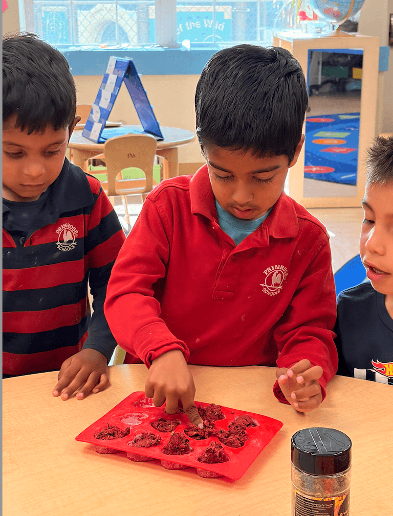 Toddler Daycare, Toddler Preschool, Best toddler Daycare in San Jose, Best preschool in San Jose