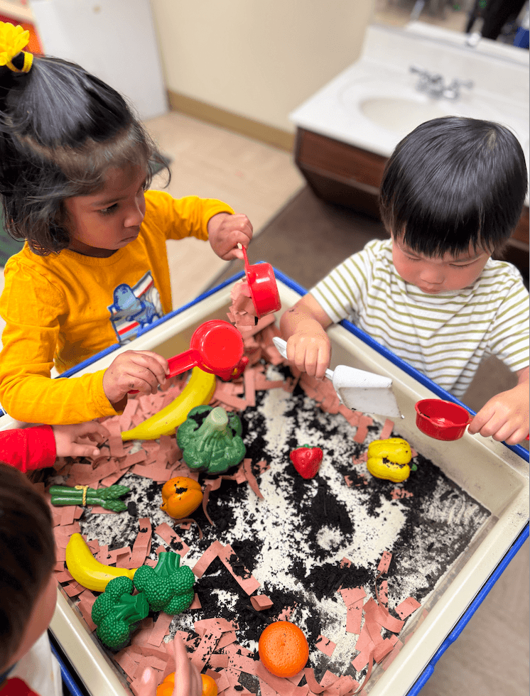 Toddler Daycare, Toddler Preschool, Best toddler Daycare in San Jose, Best preschool in San Jose