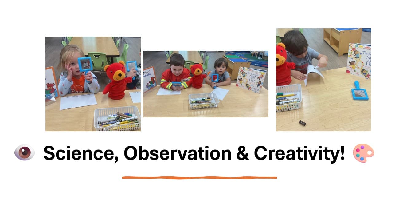 preschool, observation