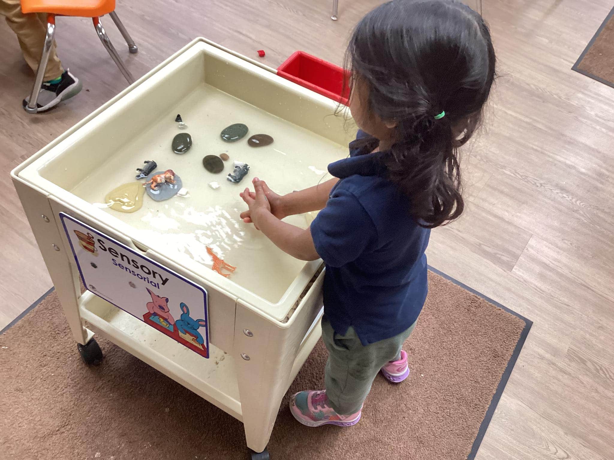 Sensory Table