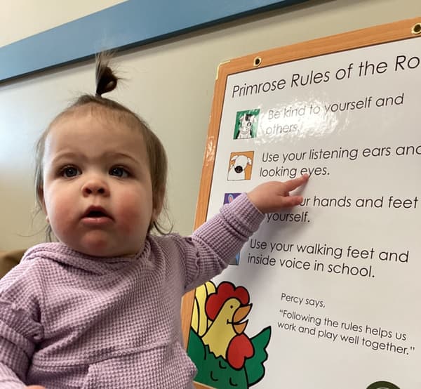 Primrose Rules of the Roost